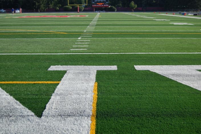Artificial Turf Examples