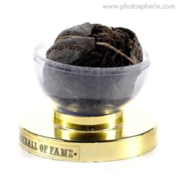 360 view for Indiana State Museum